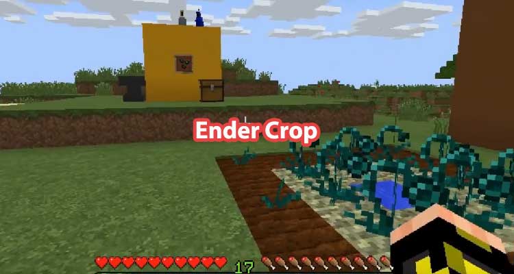 Ender Crop