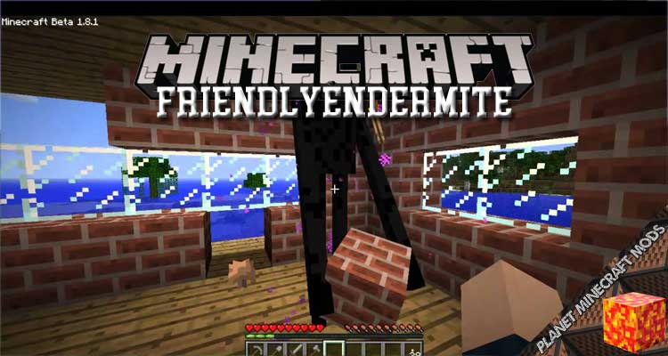 FriendlyEndermite Mod 1.16.5/1.15.2/1.12.2