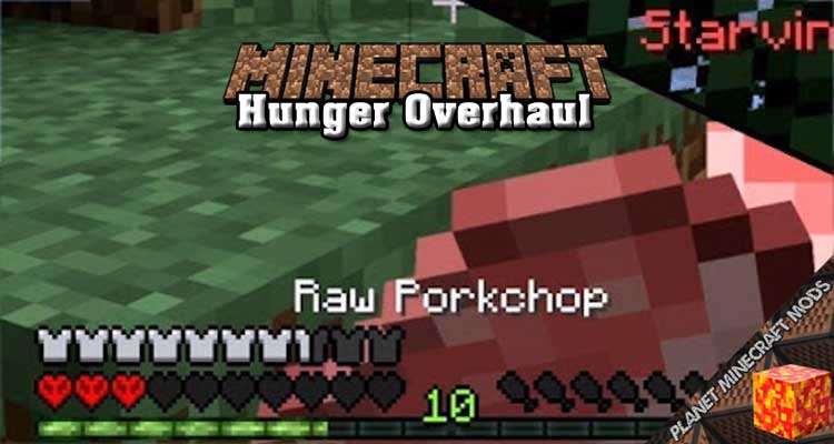 Hunger Overhaul Mod 1.12.2/1.10.2/1.7.10