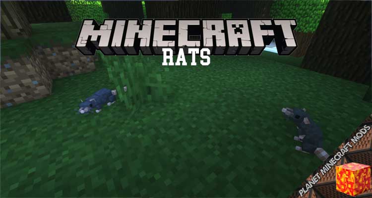 Rats Mod 1.16.5/1.15.2/1.12.2