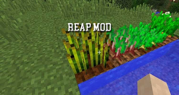 Reap Mod 1.16.5/1.12.2