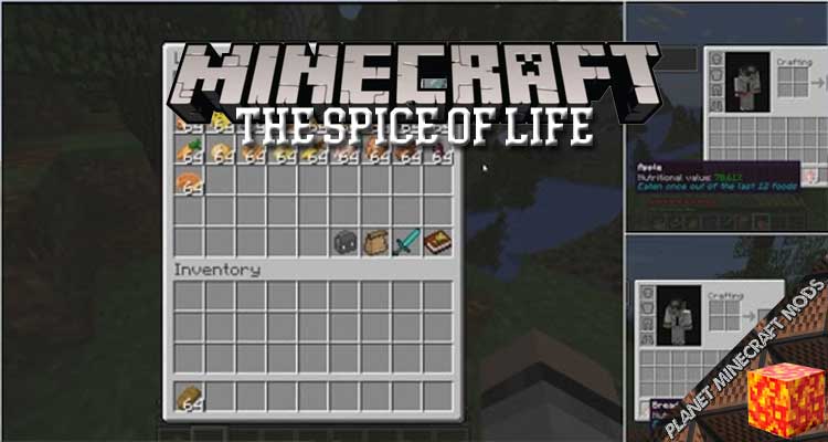 The Spice of Life Mod 1.12.2/1.10.2/1.7.10