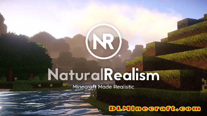 NaturalRealism