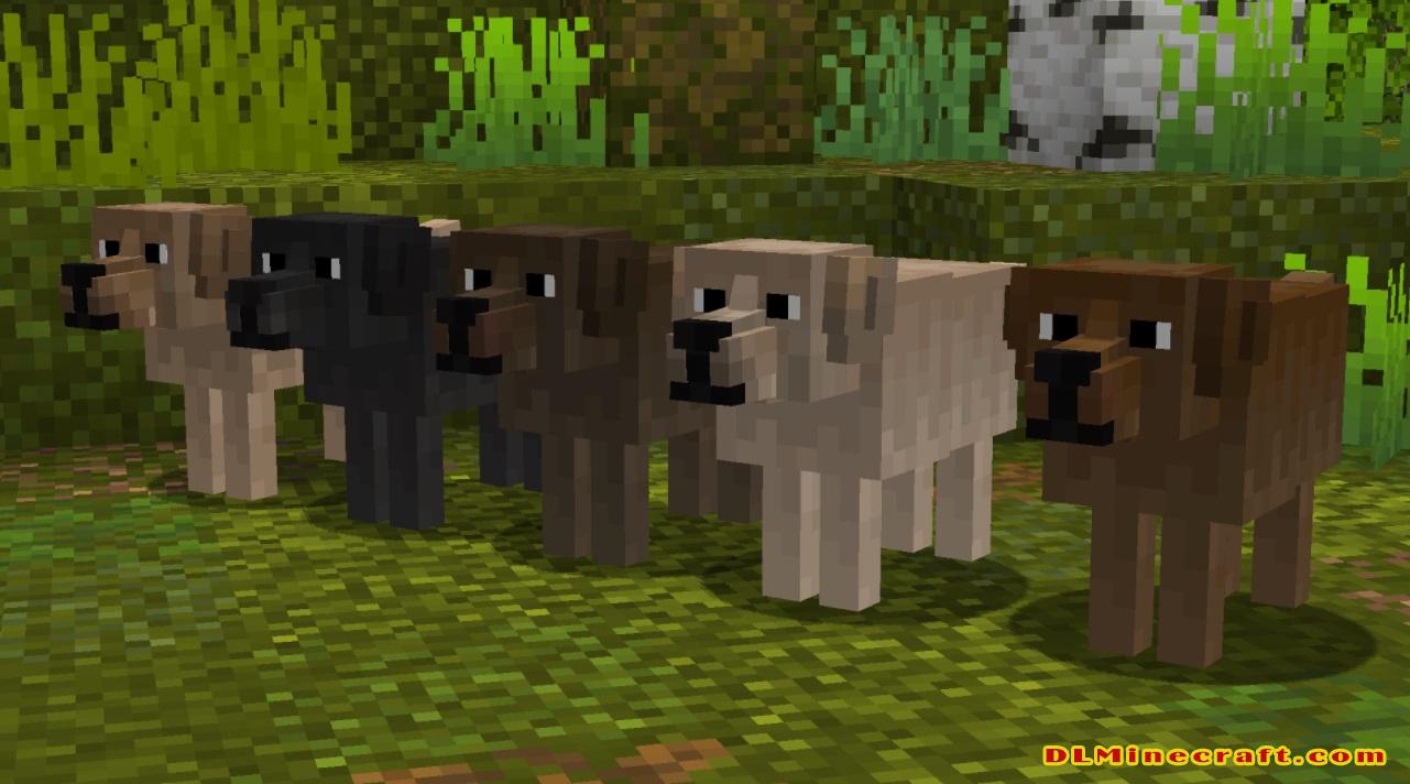 Download Better Dogs Resource Pack 1.16.5,1.16.4 and 1.16.3