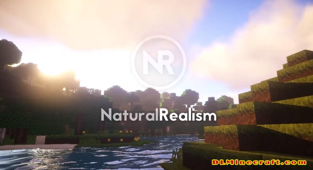 Natural Realism Resource Pack